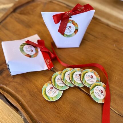 Estuche con 6 discos de chocolate corporativo 60g